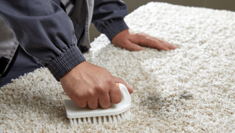 Professional Rug Cleaning Ashburton