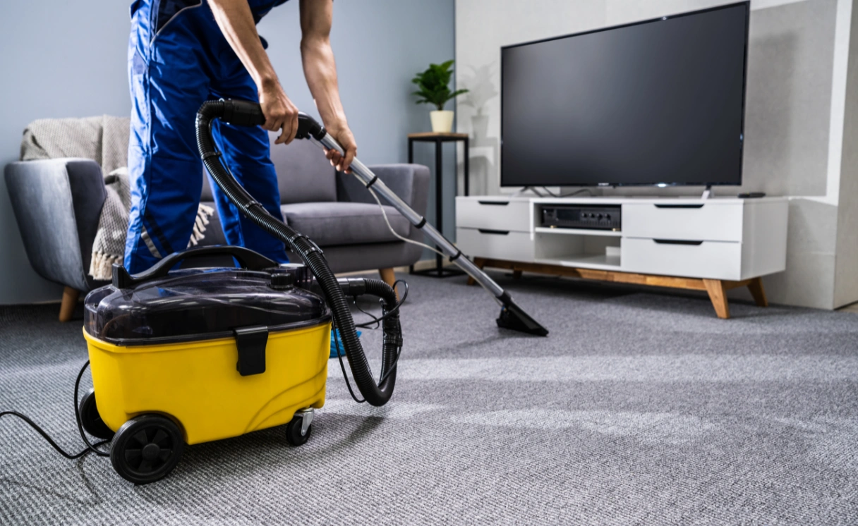 Extract Rug Cleaning Ashburton Contact Office